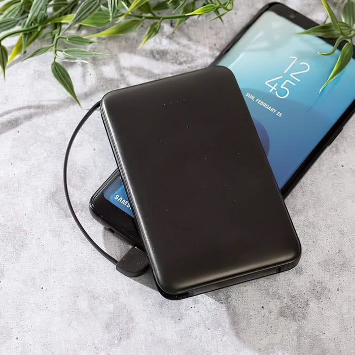 Powerbanks Standard